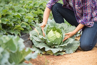 7 Ways To Support Farmers Who  Bring Fresh Food For Us